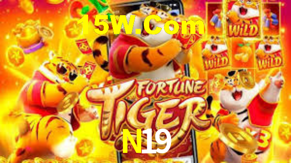 N19,n19.com